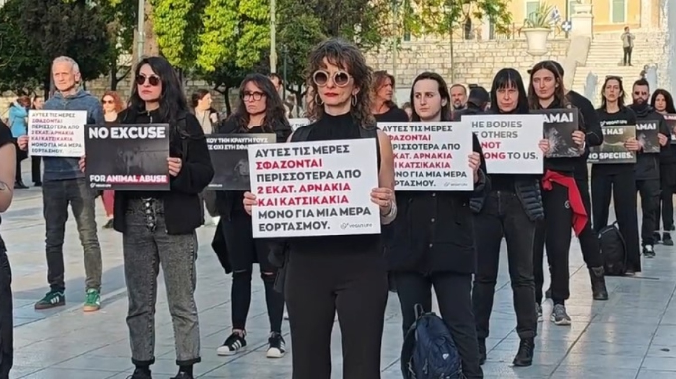 Vegans διαμαρτύρονται στο Σύνταγμα κατά της σφαγής αρνιών το Πάσχα (PICS)