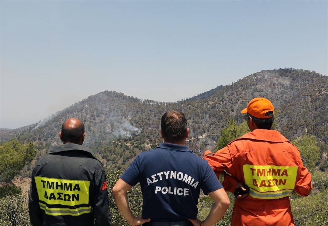 Τμ. Δασών: Έργα πυροπροστασίας η υλοτομία στα δάση Σταυροβουνίου και Ευκάλης