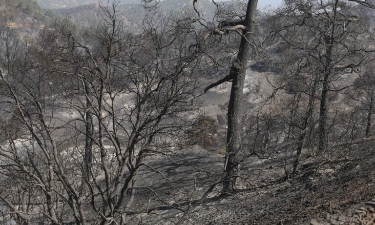 Σύστημα έγκαιρης ανίχνευσης πυρκαγιών εγκαθίσταται στον Δήμο Παραλιμνίου