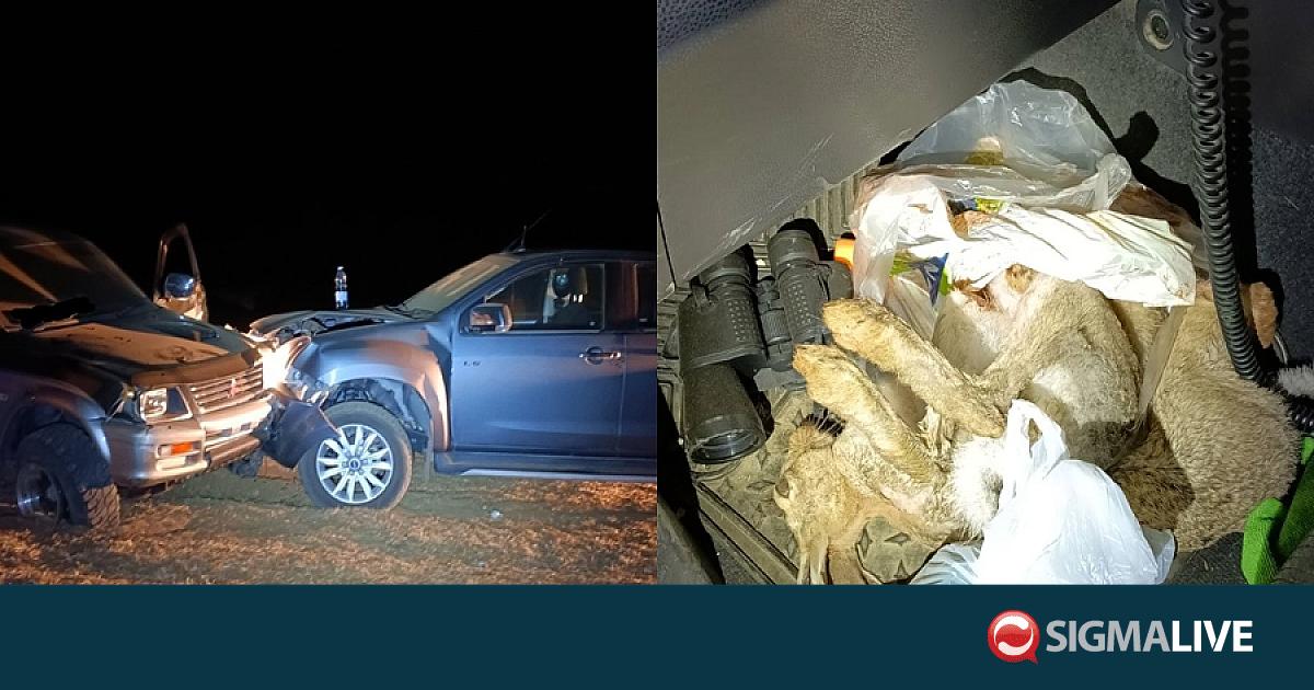 Άγρια καταδίωξη λαθροθήρων στη Λευκωσία- Εντόπισαν τρεις λαγούς (pics)