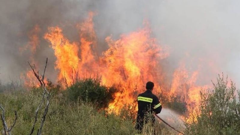 Κόκκινος Συναγερμός Τμήματος Δασών για κίνδυνο πυρκαγιών την Τετάρτη Κόκκινος Συναγερμός Τμήματος Δασών για κίνδυνο πυρκαγιών την Τετάρτη