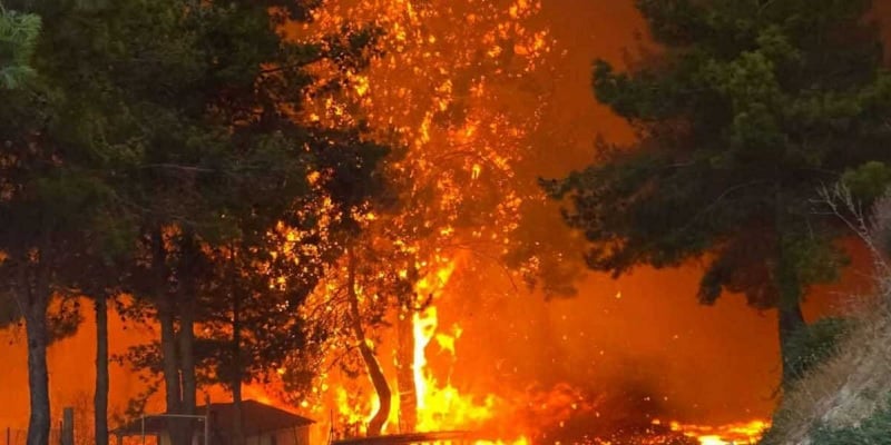 Τραγωδία… Εντοπίστηκε νεκρό πρόσωπο στην περιοχή της πυρκαγιάς στη Λεμεσό Τραγωδία… Εντοπίστηκε νεκρό πρόσωπο στην περιοχή της πυρκαγιάς στη Λεμεσό