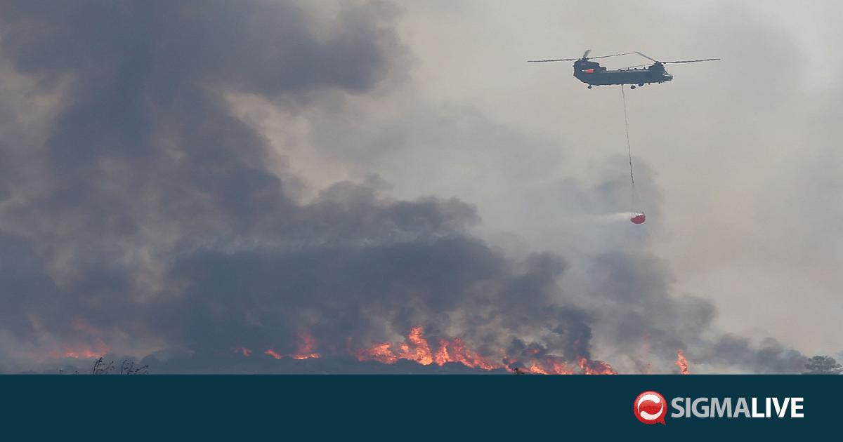 Διαδήλωση για τη φονική πυρκαγιά στη Λεμεσό – «Καίγεται ο τόπος μου» Διαδήλωση για τη φονική πυρκαγιά στη Λεμεσό – «Καίγεται ο τόπος μου»