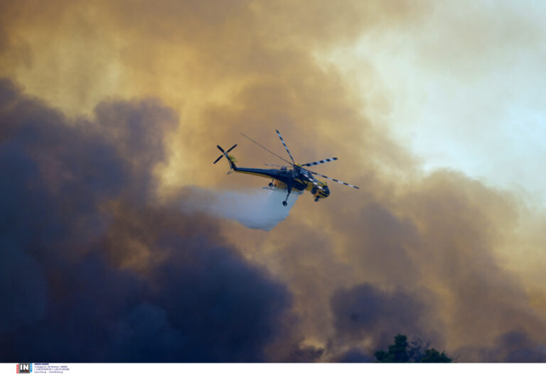 Μάχη με τις φωτιές σε Εύβοια, Μεσσηνία, Κύθηρα και Ωρωπό - Μπαράζ εκκενώσεων
