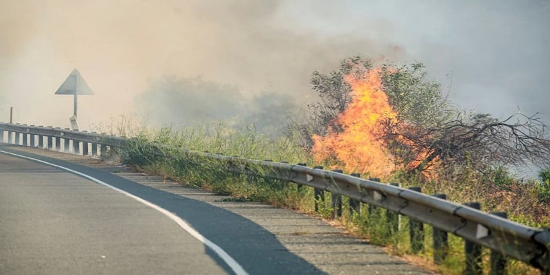 Πάφος: Υπό μερικό έλεγχο η πυρκαγιά στη Δρούσεια