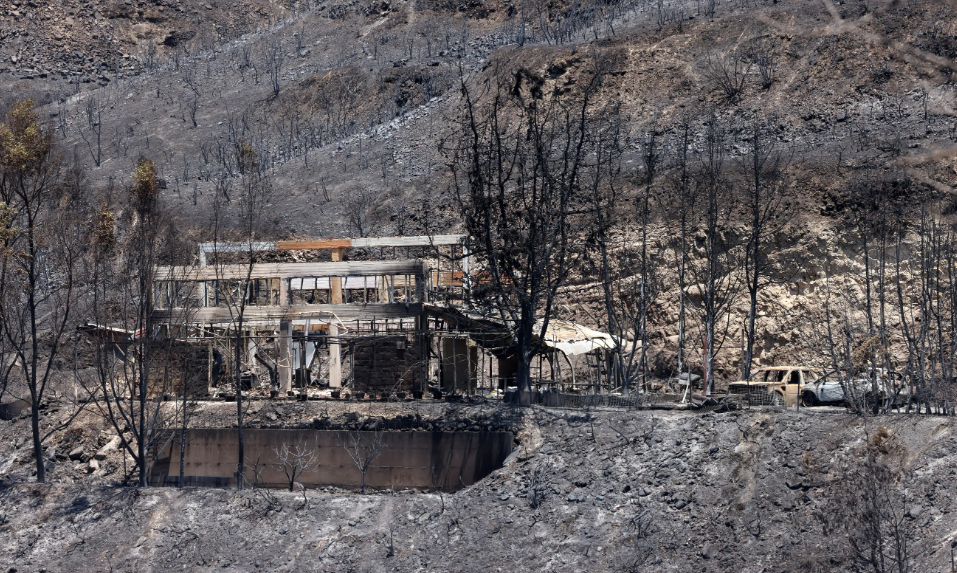 Μέσα από τις στάχτες, αναγεννάται η ελπίδα για τα παιδιά Μέσα από τις στάχτες, αναγεννάται η ελπίδα για τα παιδιά