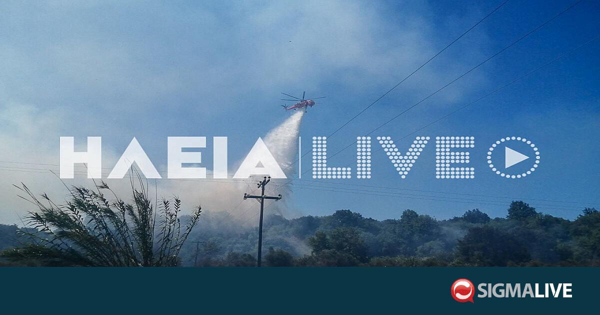Ελλάδα: Φωτιά στα Λεχαινά Ηλείας-Ενισχύθηκαν επίγειες και εναέριες δυνάμεις Ελλάδα: Φωτιά στα Λεχαινά Ηλείας-Ενισχύθηκαν επίγειες και εναέριες δυνάμεις