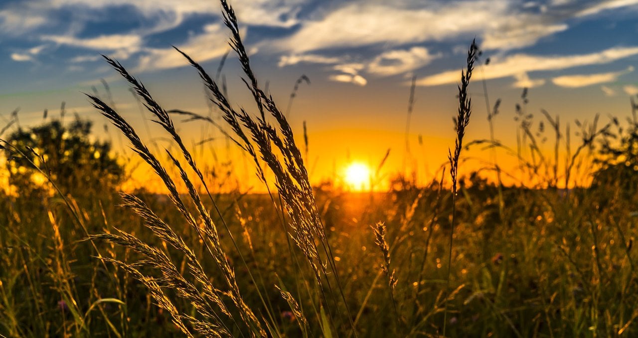 Στους 36°C η θερμοκρασία -Πιθανότητα μεμονωμένων βροχών στα ορεινά