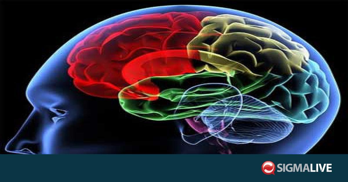 Ο νούμερο 1 κανόνας για μυαλό «ξυράφι» - Sigmalive