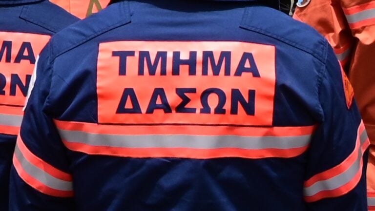 Το Τμήμα Δασών δηλώνει ικανοποιημένο με ΥΠΟΙΚ για τη στελέχωσή του Το Τμήμα Δασών δηλώνει ικανοποιημένο με ΥΠΟΙΚ για τη στελέχωσή του