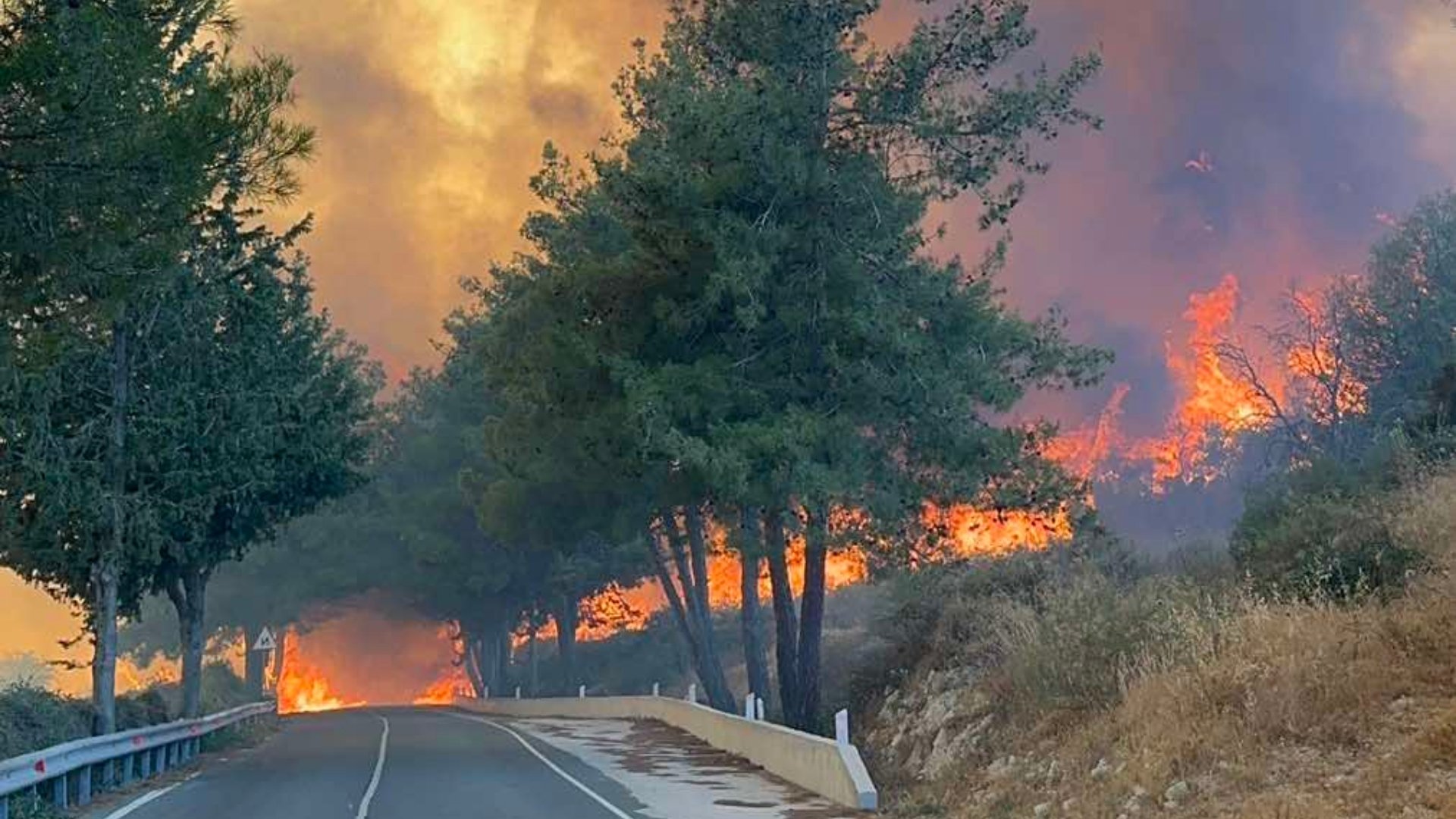 Γαβριήλ: Τίποτα από όσα έλεγαν οι κυβερνώντες δεν λειτούργησε στην πυρκαγιά