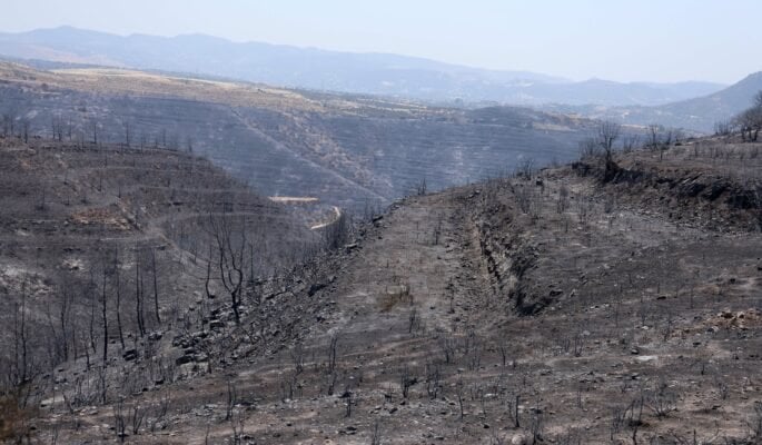 Ενημέρωση ΥΠΕΣ από ΕΤΕΚ-οργανώσεις για το κόστος των ζημιών από τις πυρκαγιές Ενημέρωση ΥΠΕΣ από ΕΤΕΚ-οργανώσεις για το κόστος των ζημιών από τις πυρκαγιές