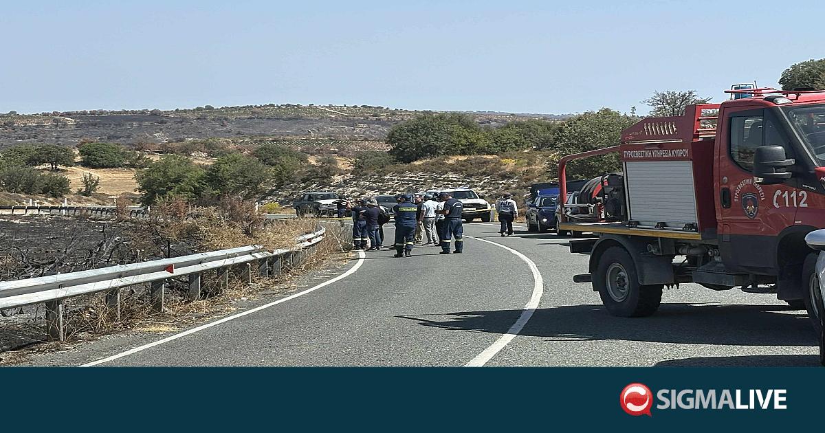 Στη Μαλιά οι 10 Αμερικανοί εμπειρογνώμονες για αυτοψία (pics) Στη Μαλιά οι 10 Αμερικανοί εμπειρογνώμονες για αυτοψία (pics)