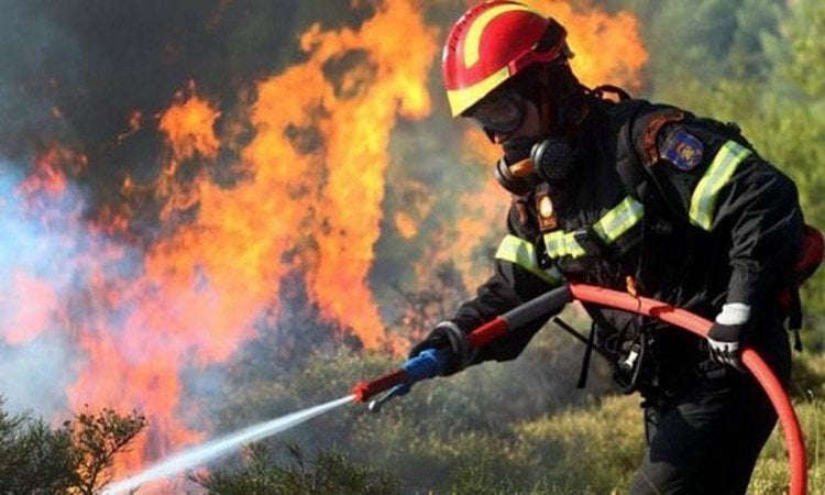 Υπό πλήρη έλεγχο δασική πυρκαγιά στην κοινότητα Αγίας Άννας