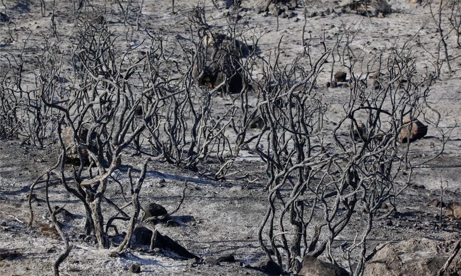 Ικανοποίηση για ρυθμό υλοποίησης μέτρων εκφράζει ο Κοινοτάρχης Ομόδους