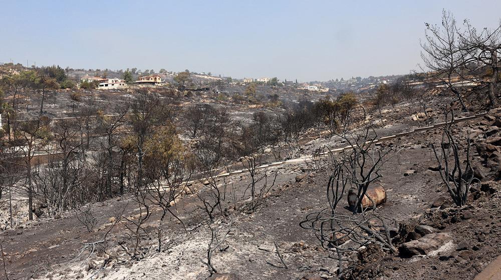 Πάνω από 500 αιτήσεις επαναδραστηριοποίησης στις πυρόπληκτες περιοχές