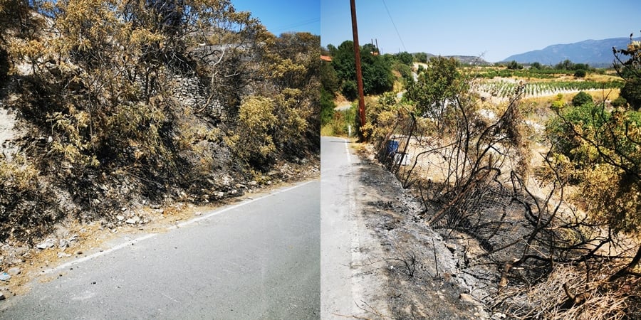 Διαψεύδει την Πυροσβεστική ο κοινοτάρχης Ομόδους: «Δεν είχε σκουπίδια» (pics) Διαψεύδει την Πυροσβεστική ο κοινοτάρχης Ομόδους: «Δεν είχε σκουπίδια» (pics)
