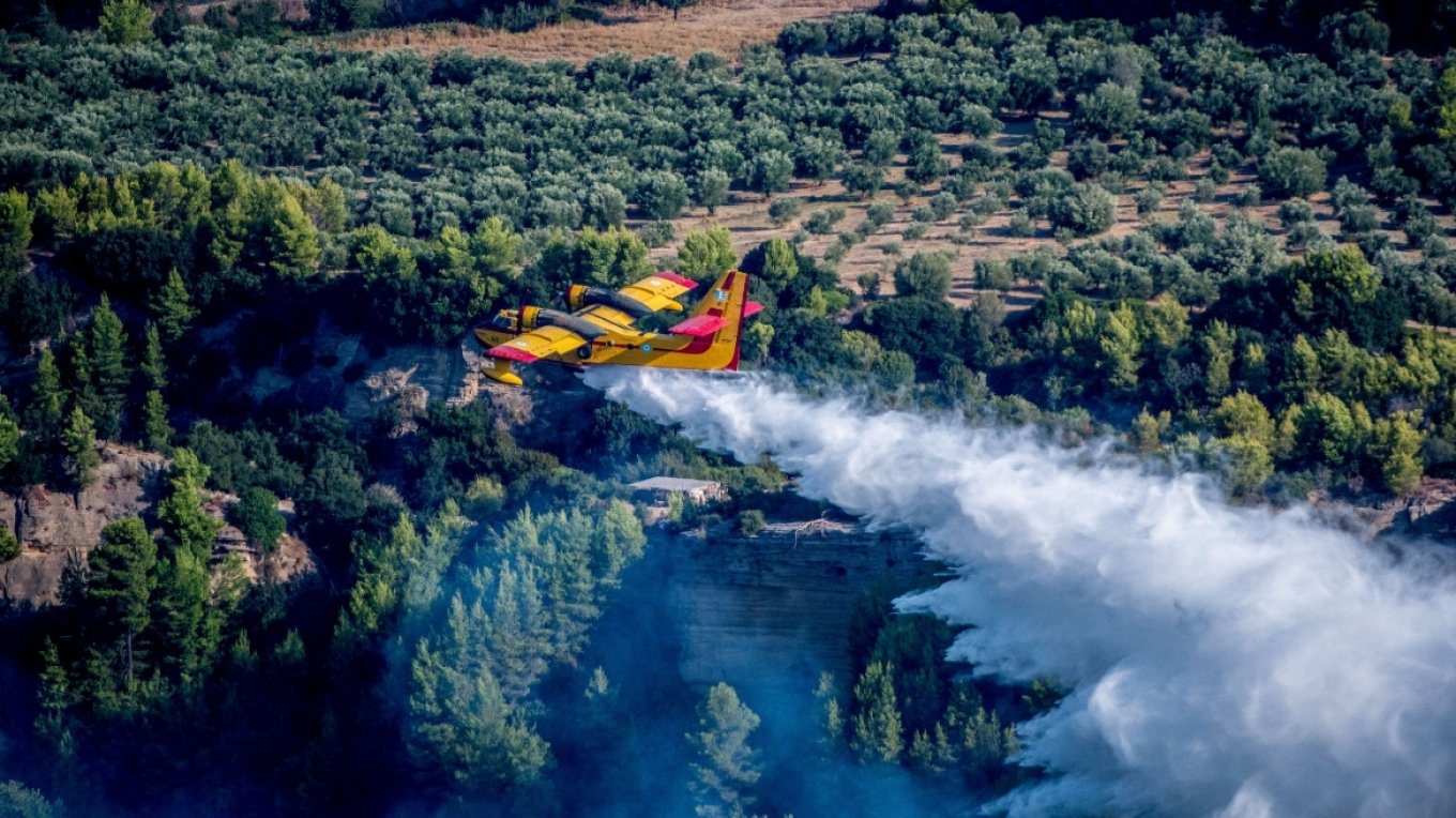 Μεγάλη αναζωπύρωση στην περιοχή Χελιδόνι Ηλείας Μεγάλη αναζωπύρωση στην περιοχή Χελιδόνι Ηλείας