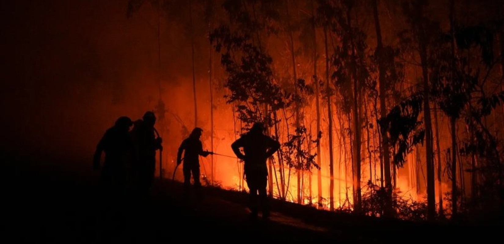 Ισπανία: Ένας νεκρός στη δασική πυρκαγιά κοντά στη Μαδρίτη