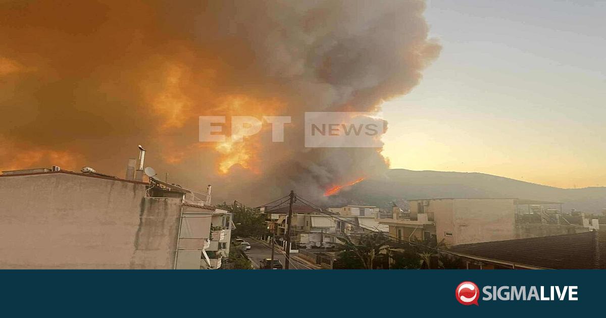 Εκκενώσεις χωριών στη Ζάκυνθο, διάσπαρτες εστίες στη Βόνιτσα – «112» στην Άρτα Εκκενώσεις χωριών στη Ζάκυνθο, διάσπαρτες εστίες στη Βόνιτσα – «112» στην Άρτα