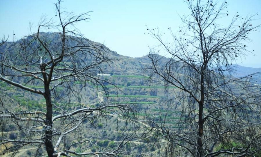 Από τις στάχτες στην ελπίδα: Η μάχη των χωριών της Λεμεσού για αποκατάσταση Από τις στάχτες στην ελπίδα: Η μάχη των χωριών της Λεμεσού για αποκατάσταση