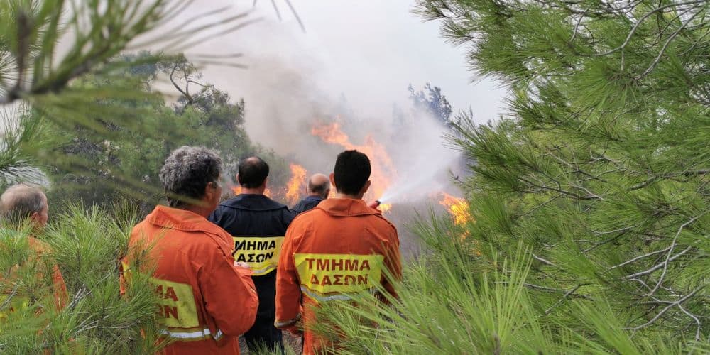 Τμ. Δασών: Ετοιμότητα και συνεχείς περιπολίες για αποφυγή πυρκαγιών
