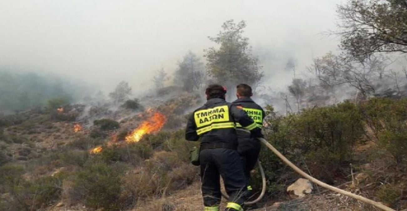 Υπό πλήρη έλεγχο δασικές πυρκαγιές σε περιοχές Λυσούς και Δρούσειας