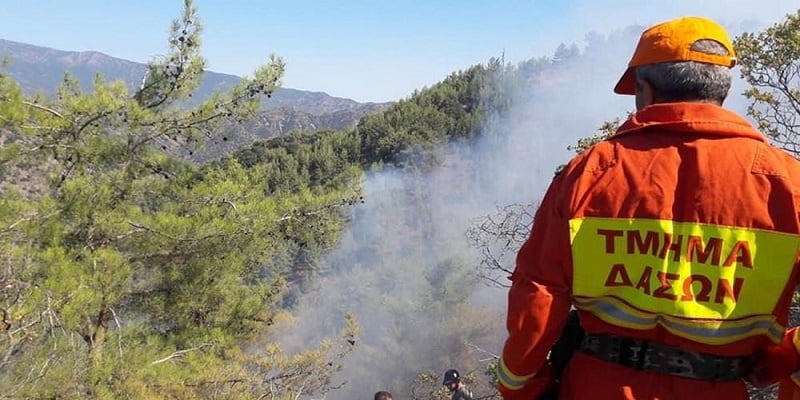 Τμ.Δασών: Υπό πλήρη έλεγχο φωτιά στον Δελίκηπο-Κάηκαν άγρια βλάστηση και πεύκα