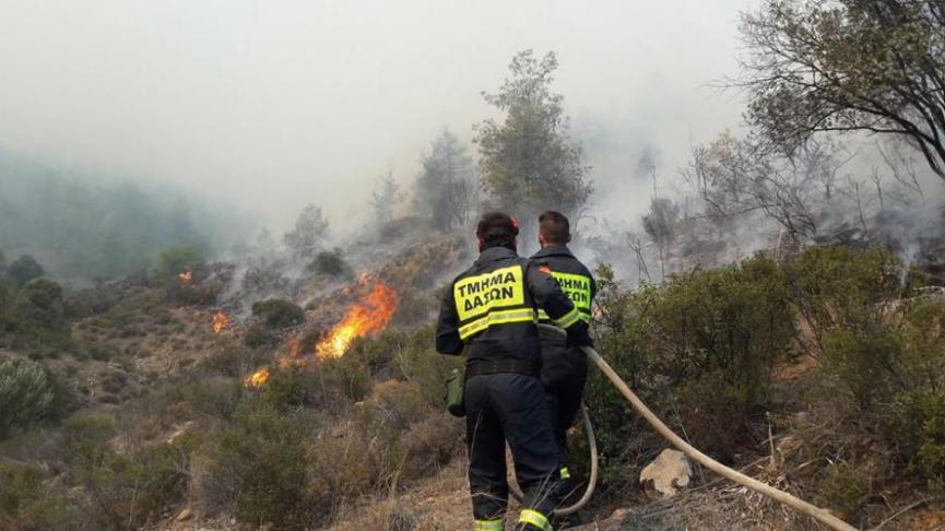 Υπό πλήρη έλεγχο δασική πυρκαγιά στην Κοινότητα Τριμίκλινης, της Λεμεσού