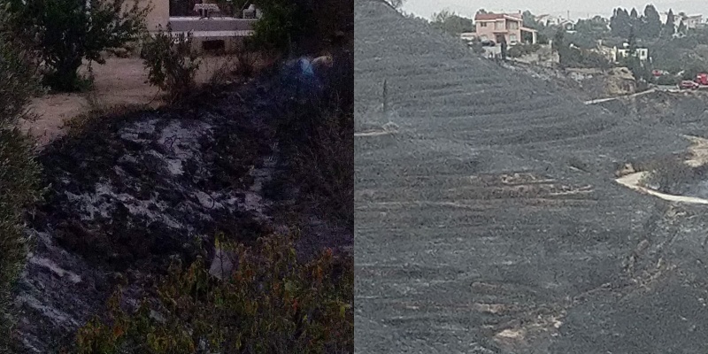 Υπό πλήρη έλεγχο η πυρκαγιά στην Πάφο-Παραμένουν οι δυνάμεις πυρόσβεσης (PICS)