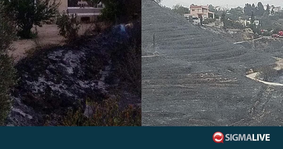 Υπό πλήρη έλεγχο η πυρκαγιά στην Πάφο-Παραμένουν οι δυνάμεις πυρόσβεσης (PICS) Υπό πλήρη έλεγχο η πυρκαγιά στην Πάφο-Παραμένουν οι δυνάμεις πυρόσβεσης (PICS)