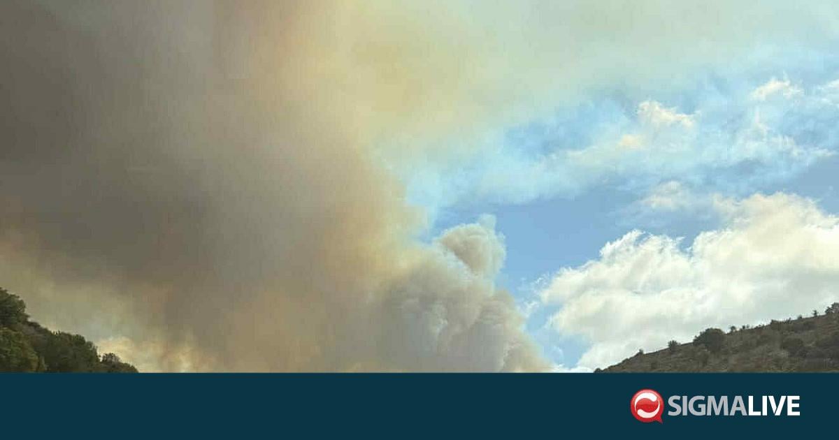 Τσάδα: Έχασε το πορτοφόλι του με €2000 στην προσπάθεια να σώσει το σπίτι του Τσάδα: Έχασε το πορτοφόλι του με €2000 στην προσπάθεια να σώσει το σπίτι του