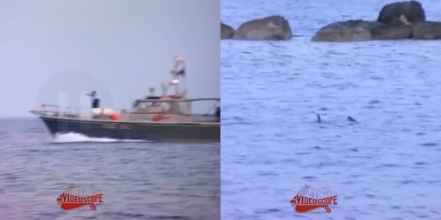 ΒΙΝΤΕΟ: Όταν οι αστυνομικοί πυροβολούσαν με καλάσνικοφ καρχαρίες στη Λεμεσό