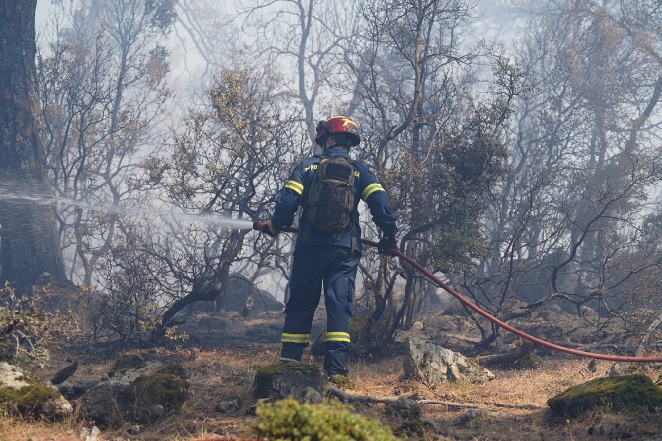 Ένας 57χρονος ομολόγησε τέσσερις εμπρησμούς στη Μυτιλήνη Ένας 57χρονος ομολόγησε τέσσερις εμπρησμούς στη Μυτιλήνη