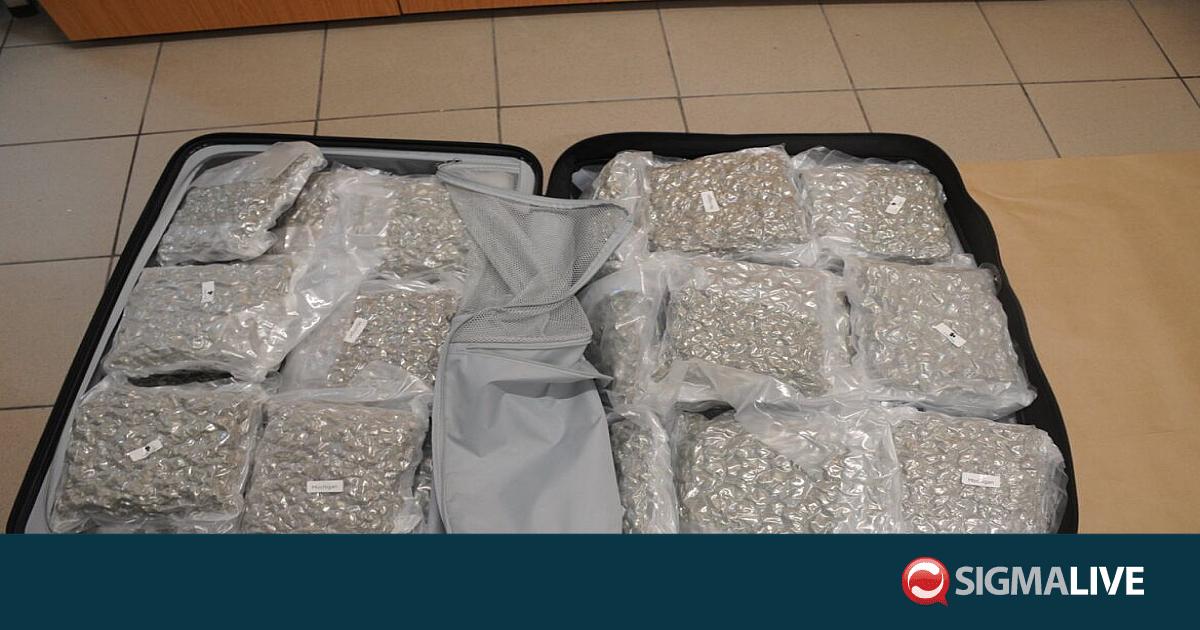Έφτασε στο αεροδρόμιο φορτωμένη με 22 κιλά κάνναβης- Σύλληψη 39χρονης (pics)