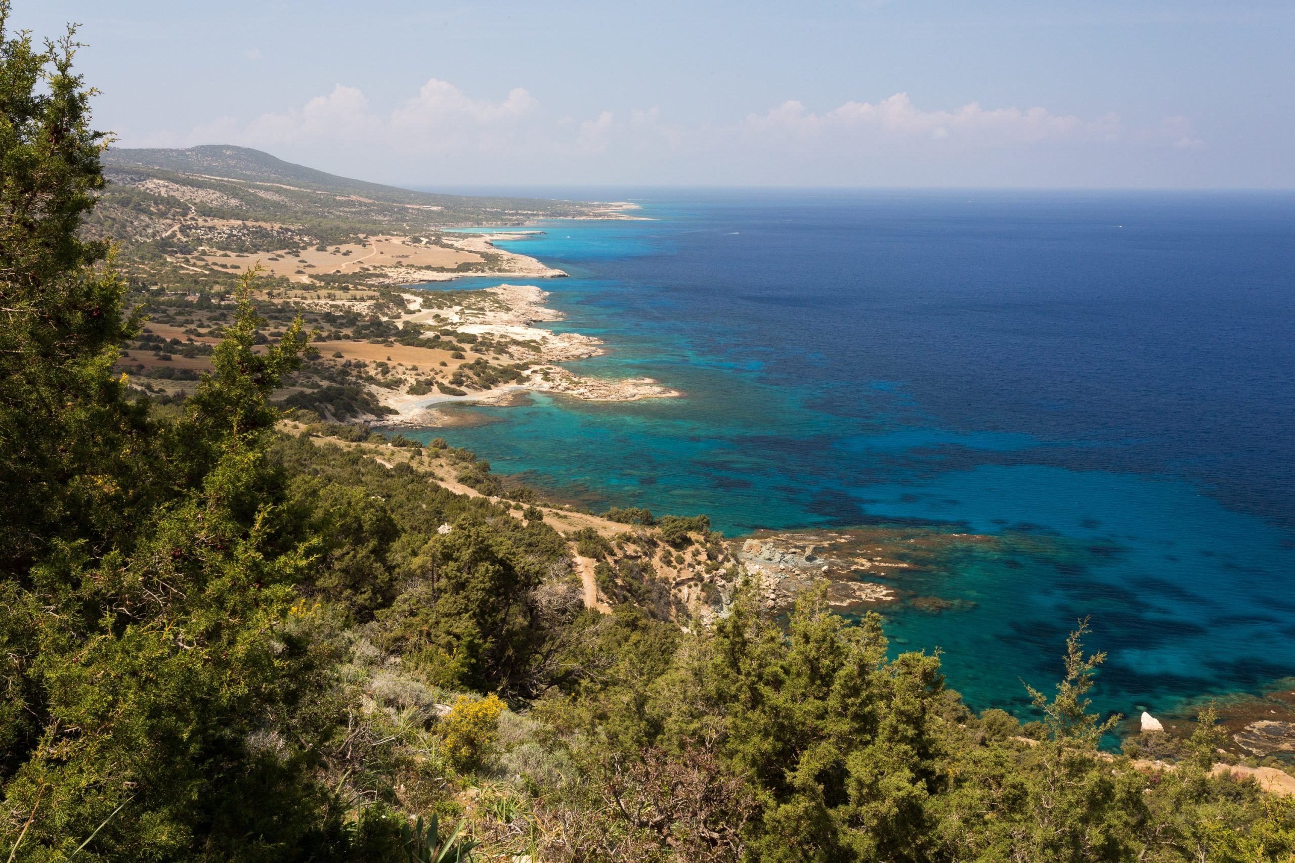 Τμ. Δασών: Ικανοποιημένο και δικαιωμένο δηλώνει από επαναξιολογήσεις για Ακάμα