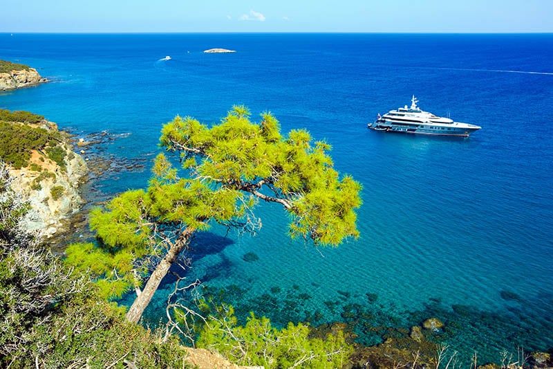 Περιβαλλοντικές οργανώσεις: Το Τμ. Δασών δεν αντιλαμβάνεται την πραγματικότητα