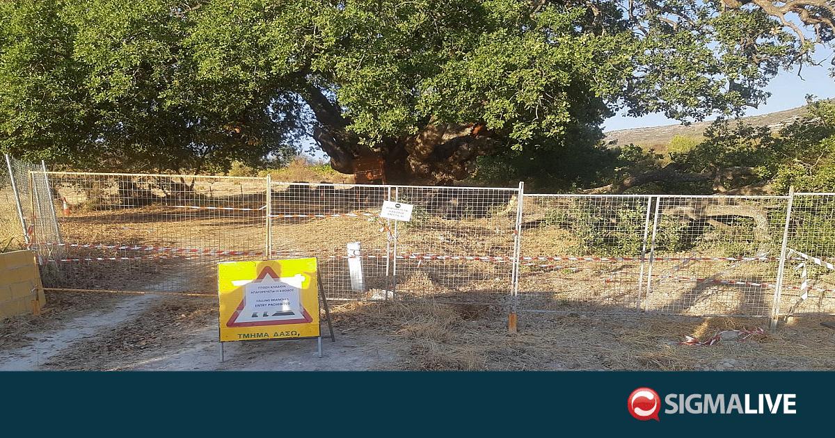 Προσοχή! Μην πλησιάζετε αυτό το μνημείο, είναι επικίνδυνο (ΦΩΤΟ) Προσοχή! Μην πλησιάζετε αυτό το μνημείο, είναι επικίνδυνο (ΦΩΤΟ)