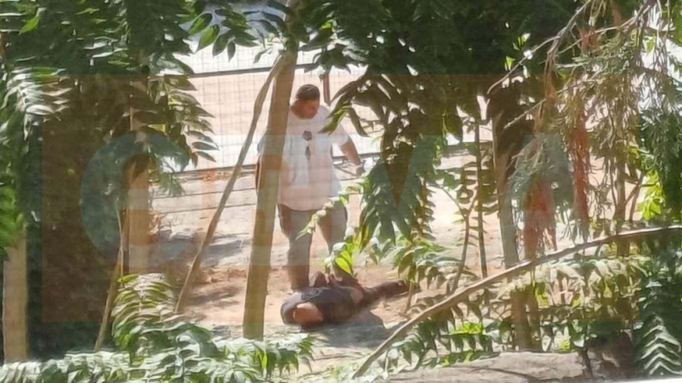 Η στιγμή της σύλληψης του συζυγοκτόνου στον Βόλο: «Δεν μετανιώνω» (vid) Η στιγμή της σύλληψης του συζυγοκτόνου στον Βόλο: «Δεν μετανιώνω» (vid)