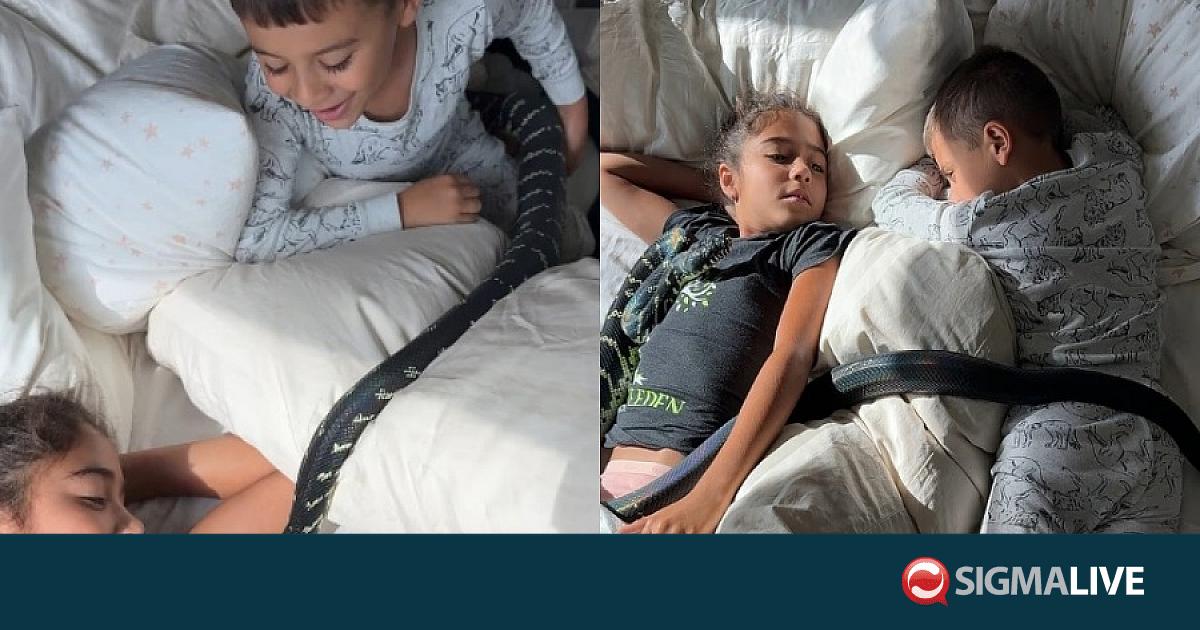 Κύπριος συγκατοικεί με 100 φίδια – Τα παιδιά του κοιμούνται μαζί τους (pics) Κύπριος συγκατοικεί με 100 φίδια – Τα παιδιά του κοιμούνται μαζί τους (pics)
