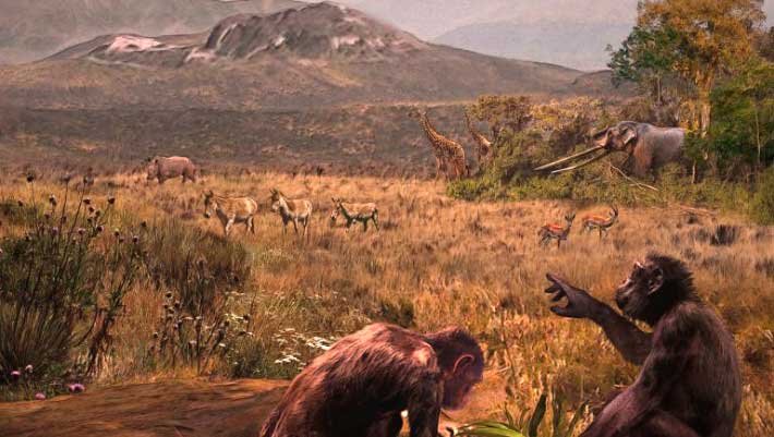 Απολιθώματα στην Ελλάδα δείχνουν ευρωπαϊκή προέλευση των πρώτων ανθρωποειδών Απολιθώματα στην Ελλάδα δείχνουν ευρωπαϊκή προέλευση των πρώτων ανθρωποειδών