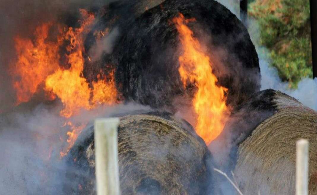 Αραδίππου: 70 πάλες σανού κάηκαν σε υποστατικό - Έρευνες από Αστυνομία