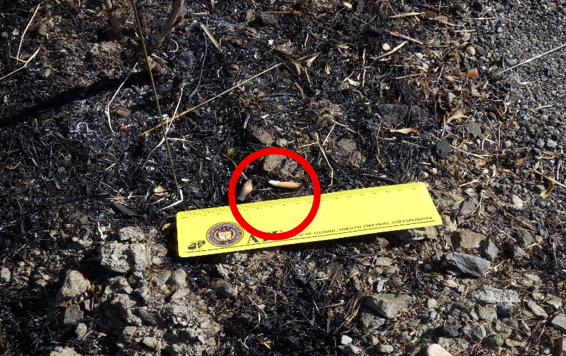 Έκθεση Αμερικανών: Από αποτσίγαρα προκλήθηκε η φονική φωτιά - Ιδού τα ευρήματα