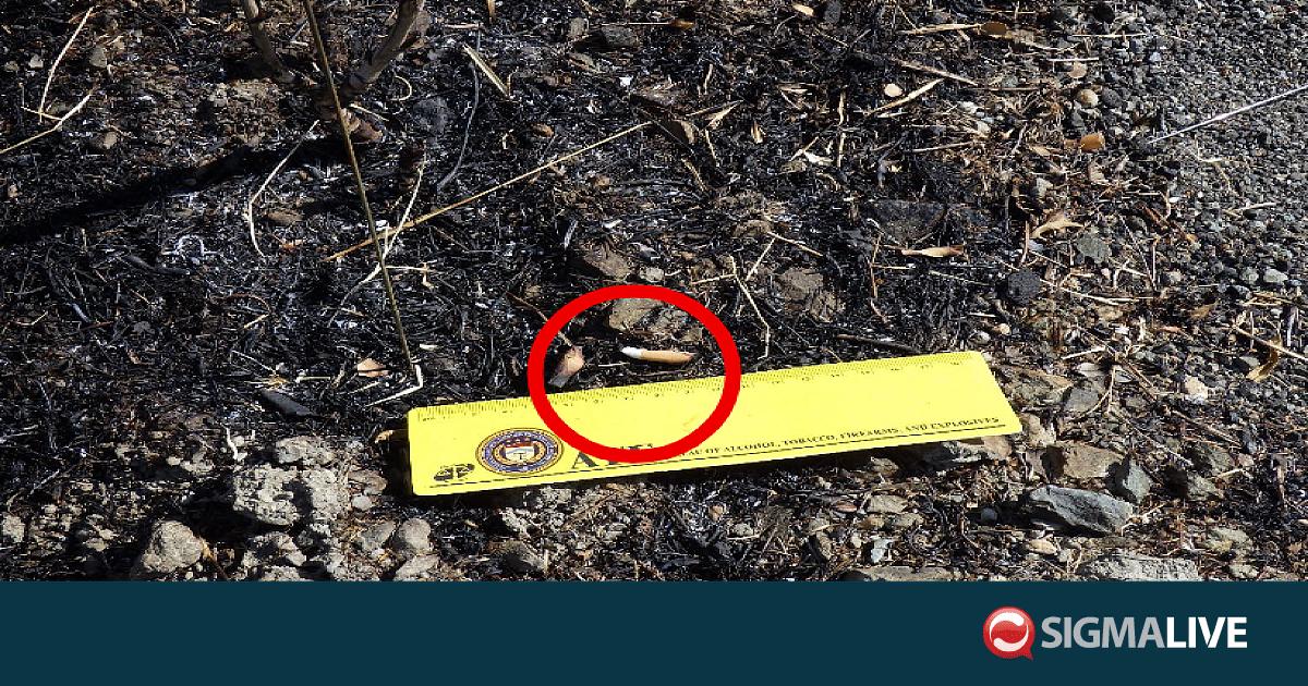 Έκθεση Αμερικανών: Από αποτσίγαρα προκλήθηκε η φονική φωτιά – Ιδού τα ευρήματα Έκθεση Αμερικανών: Από αποτσίγαρα προκλήθηκε η φονική φωτιά – Ιδού τα ευρήματα