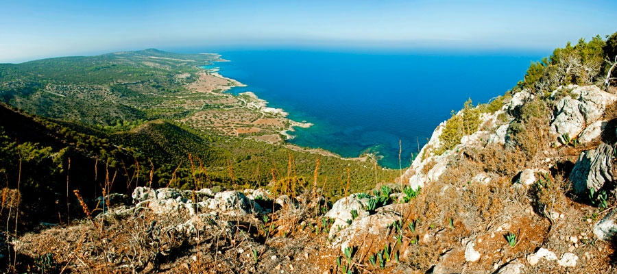 Επανέρχεται η δωρεάν εκδρομή της ΕΤΑΠ στον Ακάμα από Σεπτέμβριο έως Νοέμβριο