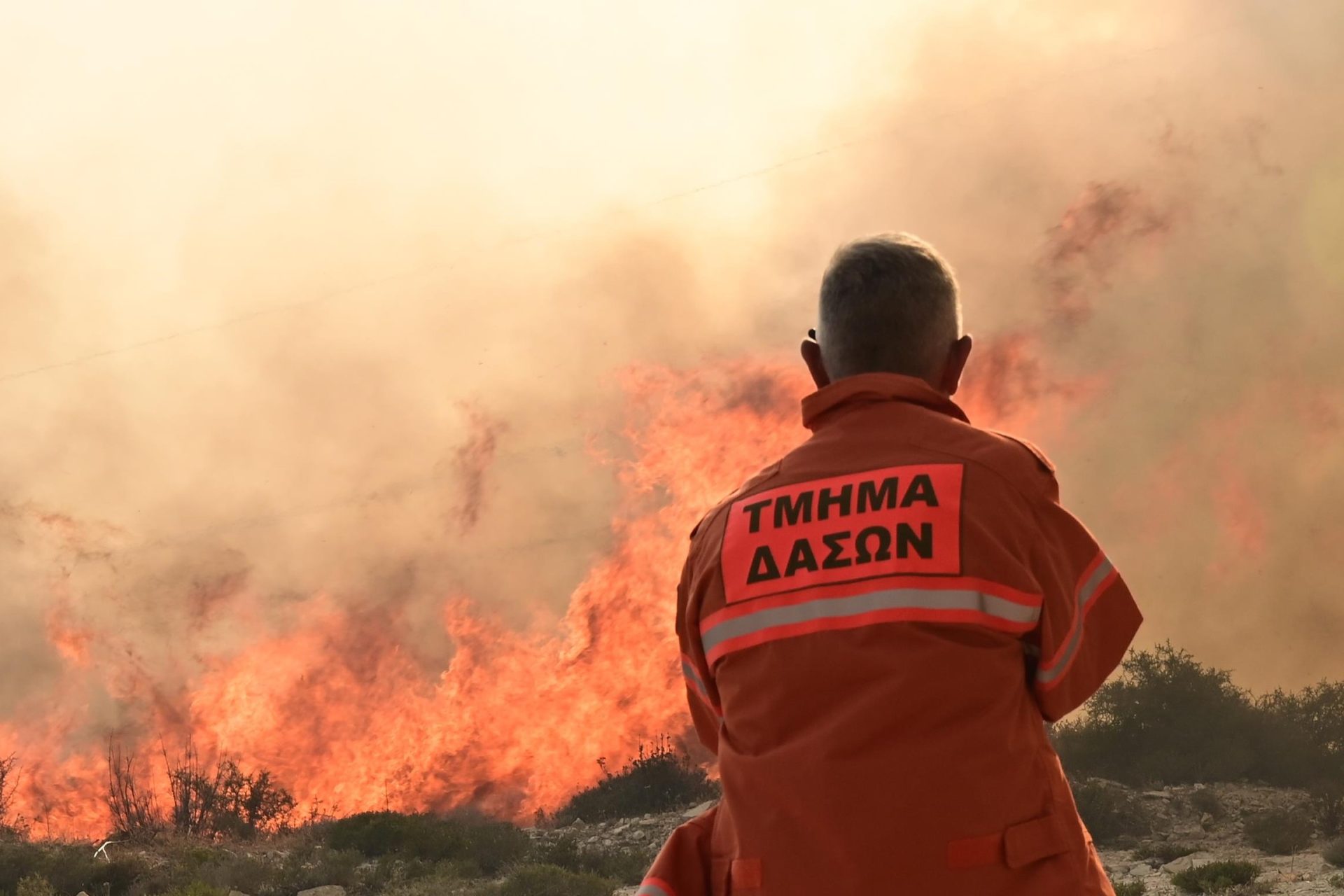 Πυρκαγιά που προκλήθηκε από ηλεκτρικό εργαλείο έκαψε 8 δεκάρια γης στη Γεράσα Πυρκαγιά που προκλήθηκε από ηλεκτρικό εργαλείο έκαψε 8 δεκάρια γης στη Γεράσα