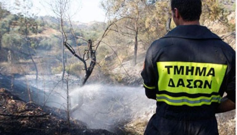 Τέθηκε υπό έλεγχο πυρκαγιά στο Τρόοδος εντός του Εθνικού Δασικού Πάρκου
