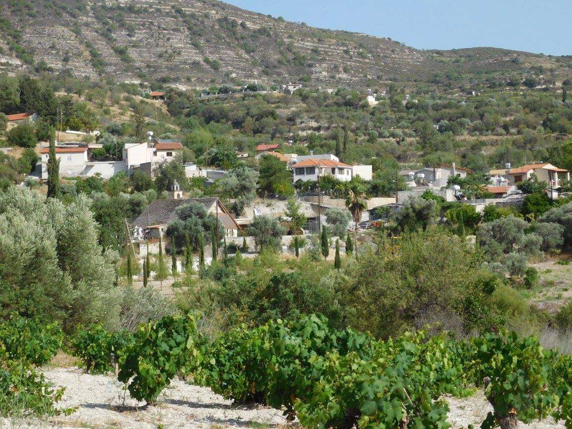 Υπό έλεγχο η φωτιά στα Κελοκέδαρα