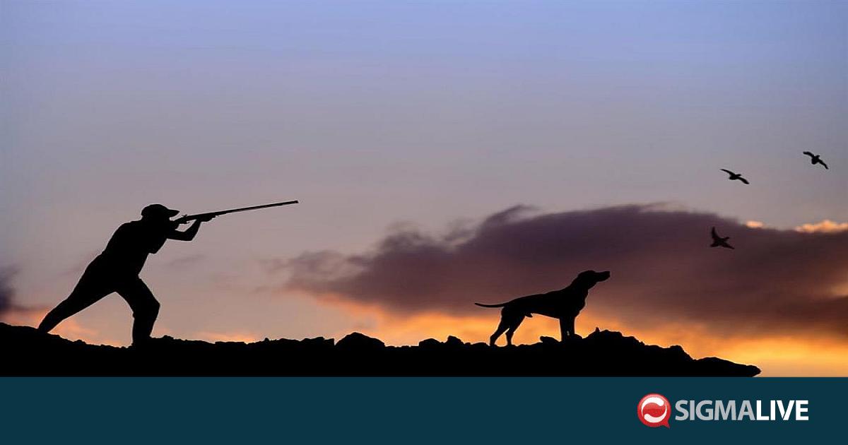 Κυνήγι: Κηρύσσονται απαγορευμένες οι πυρόπληκτες περιοχές στη Λεμεσό (ΧΑΡΤΗΣ)