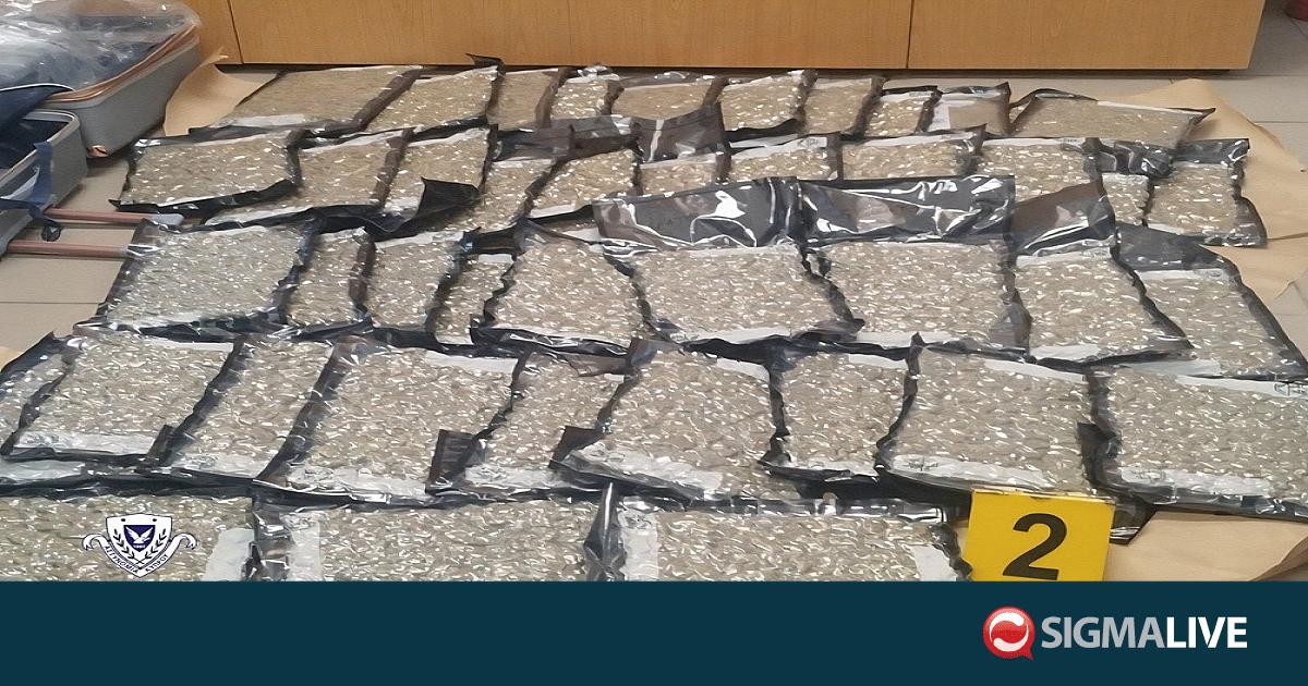 Έφτασε στην Κύπρο «φορτωμένος» με 24 κιλά κάνναβης- Εικόνες από τα ναρκωτικά